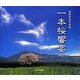 一本桜響宴―梅野秀和写真集 [単行本]