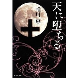 天に堕ちる(集英社文庫) [文庫]