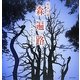 精霊の森 森遍路―やのみちよ写真集 [単行本]