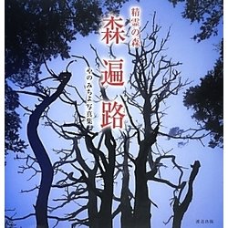 精霊の森 森遍路―やのみちよ写真集 [単行本]