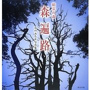 精霊の森 森遍路―やのみちよ写真集 [単行本]