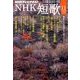 NHK 短歌 2013年 11月号 [雑誌]