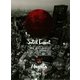 Soleil Levant [DVD]