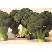 MINIATURE LIFE [単行本]
