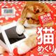 猫めくり 番外編 2014[カレンダー]－愛のあるコミカルな猫たち [カレンダー]
