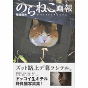 のらねこ画報 [単行本]