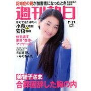 週刊朝日 2013年 11/29号 [2013年11月19日発売] [雑誌]
