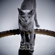 I HATE YOUR POPSTAR LIFE