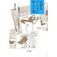 月経をアンネと呼んだ頃―生理用ナプキンはこうして生まれた [単行本]