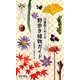 万葉歌とめぐる野歩き植物ガイド―秋～冬 [図鑑]
