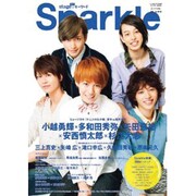 Sparkle Vol.16 (2013)（メディアボーイMOOK） [ムックその他]