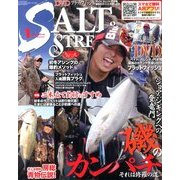 SALT & STREAM (ソルトアンドストリーム) 2014年 01月号 [雑誌]