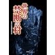 世界の禁断の村(宝島SUGOI文庫) [文庫]