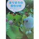 まりまろの個性分析―自分を生かす素質に気づいていますか?(ワニ文庫) [文庫]