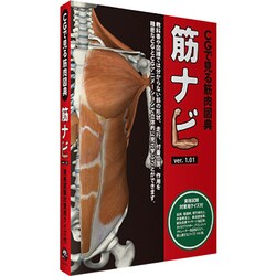 驚きの激安価格 - ヨドバシ.com CGで見る筋肉図典 PC スタンダード版 筋ナビ その他