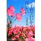 三十秒でいいから逢いたい [単行本]