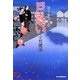 戸惑い―独り身同心〈5〉(時代小説文庫) [文庫]