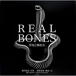 REAL BONES―骨格と機能美 [単行本]