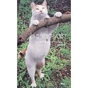 ねこサプリ(笑)―人によく効くNEKO-PHOTO 202 [単行本]