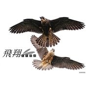 飛翔 [単行本]