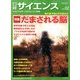 日経サイエンス 2014年 02月号 [2013年12月25日発売] [雑誌]