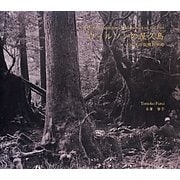 ウィルソンの屋久島―100年の記憶の旅路 [単行本]