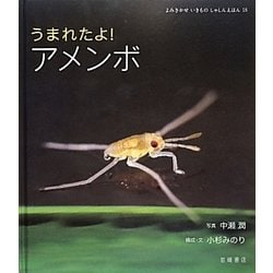 うまれたよ!アメンボ(よみきかせいきものしゃしんえほん〈18〉) [絵本]