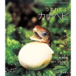 うまれたよ!カナヘビ(よみきかせいきものしゃしんえほん〈20〉) [絵本]