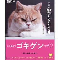 小雪の怒ってなどいない！！ [単行本]