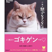 小雪の怒ってなどいない！！ [単行本]