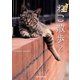 文庫版 ねこ散歩〈2〉(メディアックスねこ文庫) [文庫]