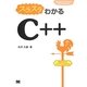 スラスラわかるC++ [単行本]