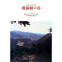 魔術師の谷 [単行本]