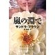 嵐の淵で(集英社文庫) [文庫]