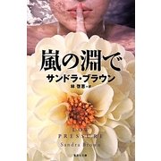 嵐の淵で(集英社文庫) [文庫]