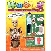 改訂版体のふしぎ 2014年 1/8号 [雑誌]