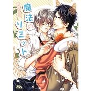 魔法のリミット(幻冬舎ルチル文庫) [文庫]