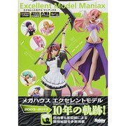 エクセレントモデルマニアックス [単行本]