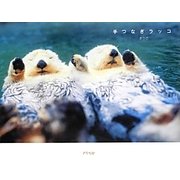 手つなぎラッコ [単行本]