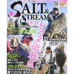 SALT & STREAM (ソルトアンドストリーム) 2014年 03月号 [雑誌]