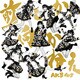 AKB48／前しか向かねえ [CD+DVD 通常盤 Type B]