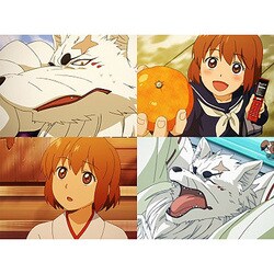 ヨドバシ.com - ぎんぎつね 3 [Blu-ray Disc] 通販【全品無料配達】