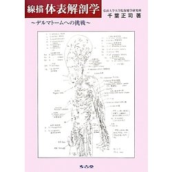 線描 体表解剖学―デルマトームへの挑戦 [単行本]