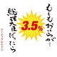 アーティクルナイン／もしもおいらが…総理大臣だったら
