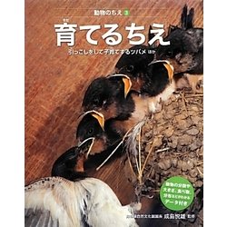 育てるちえ―引っこしをして子育てするツバメほか(動物のちえ〈3〉) [全集叢書]