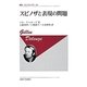 スピノザと表現の問題 新装版 (叢書・ウニベルシタス) [全集叢書]