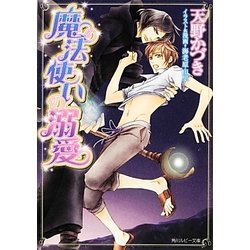 魔法使いの溺愛 [文庫]