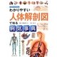 わかりやすい人体解剖図で知る病気事典―症状から引ける [単行本]