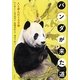 パンダが来た道―人と歩んだ150年 [単行本]