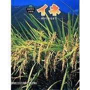 イネ―米ができるまで(科学のアルバム・かがやくいのち) [全集叢書]